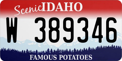 ID license plate W389346