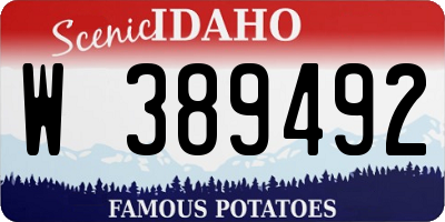 ID license plate W389492