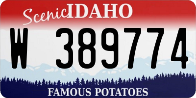 ID license plate W389774