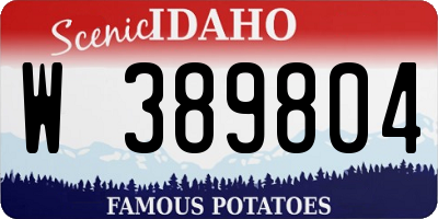 ID license plate W389804