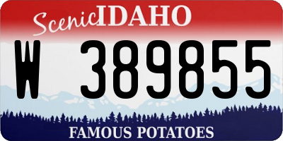 ID license plate W389855