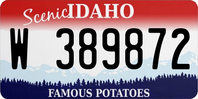 ID license plate W389872