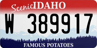 ID license plate W389917