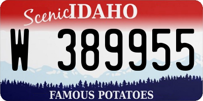 ID license plate W389955