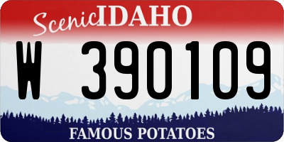 ID license plate W390109