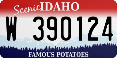 ID license plate W390124