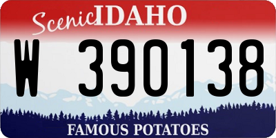 ID license plate W390138