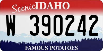 ID license plate W390242