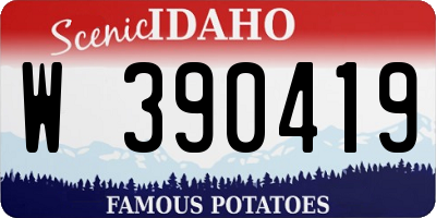 ID license plate W390419