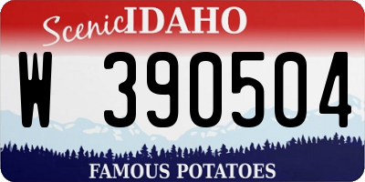 ID license plate W390504