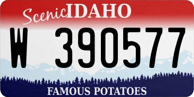 ID license plate W390577