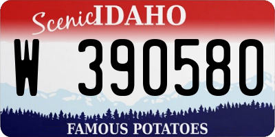 ID license plate W390580