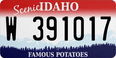 ID license plate W391017