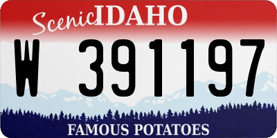 ID license plate W391197