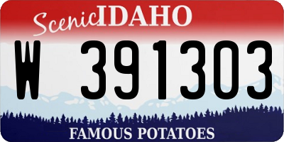 ID license plate W391303