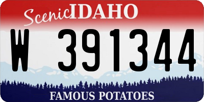 ID license plate W391344