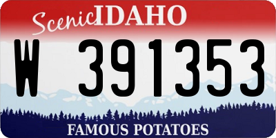 ID license plate W391353