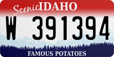 ID license plate W391394