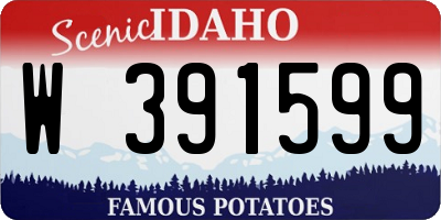ID license plate W391599