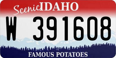 ID license plate W391608