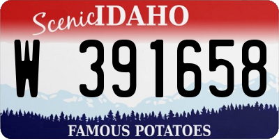 ID license plate W391658