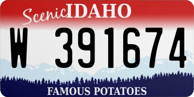ID license plate W391674