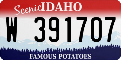 ID license plate W391707