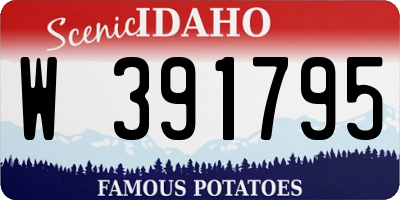 ID license plate W391795