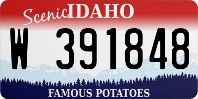 ID license plate W391848