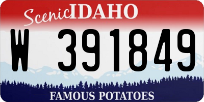 ID license plate W391849