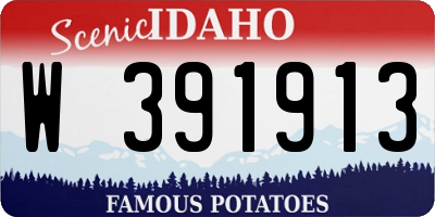 ID license plate W391913