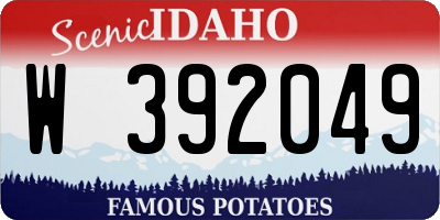 ID license plate W392049