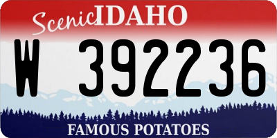 ID license plate W392236