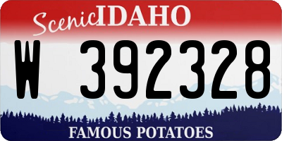 ID license plate W392328
