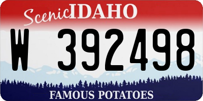 ID license plate W392498