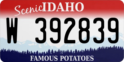 ID license plate W392839