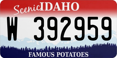 ID license plate W392959