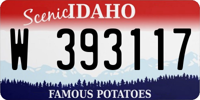 ID license plate W393117
