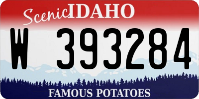 ID license plate W393284