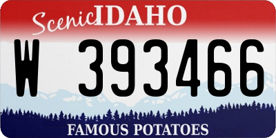 ID license plate W393466