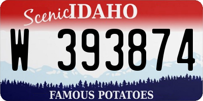 ID license plate W393874
