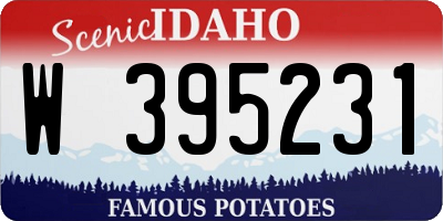 ID license plate W395231