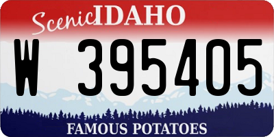 ID license plate W395405