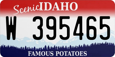ID license plate W395465