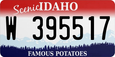 ID license plate W395517