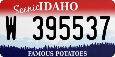 ID license plate W395537