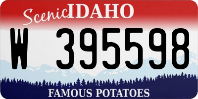 ID license plate W395598