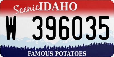 ID license plate W396035