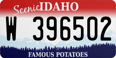 ID license plate W396502
