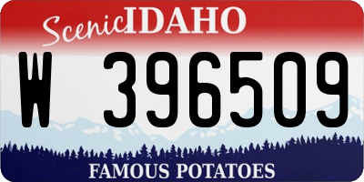 ID license plate W396509